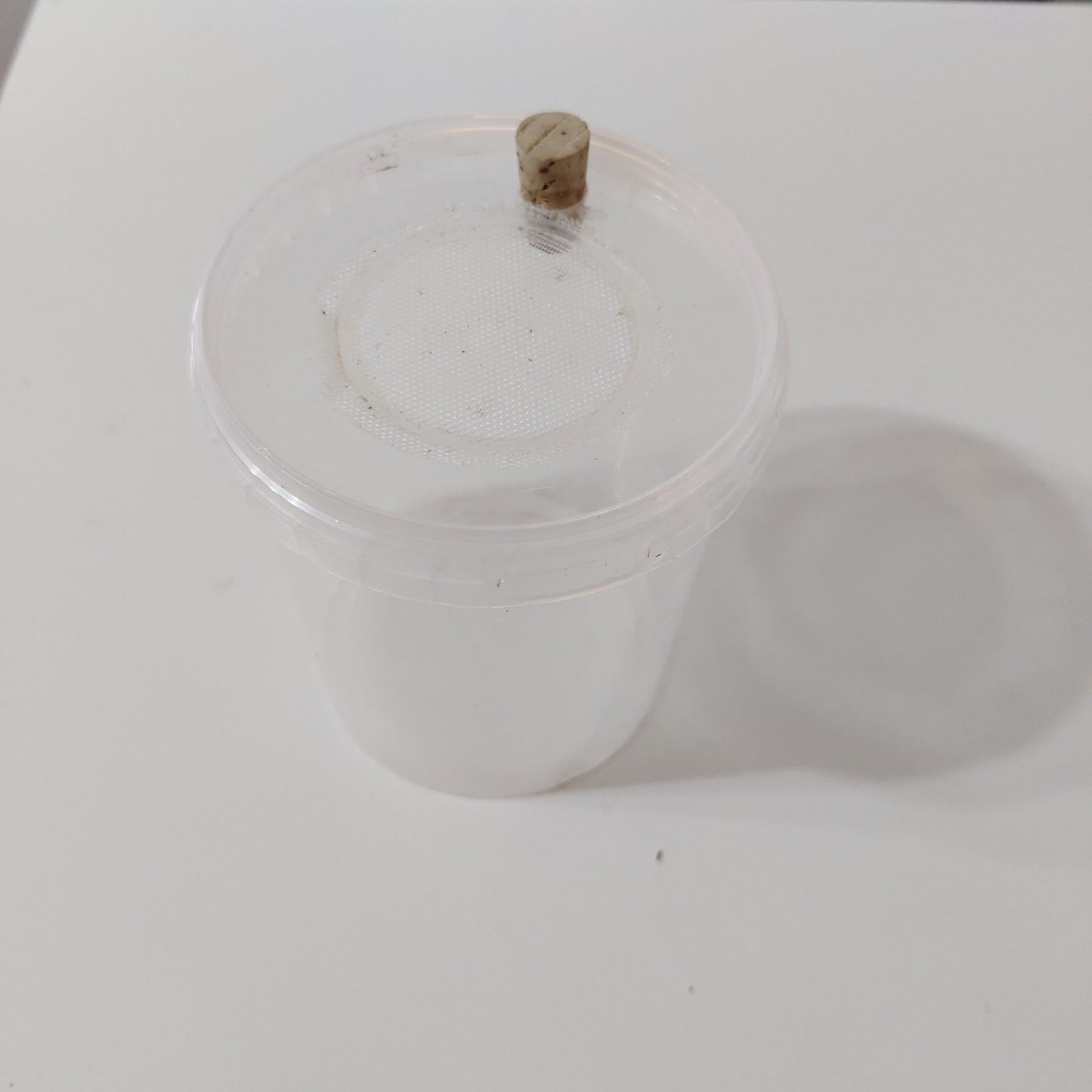 Aufzuchtdose 550 ml