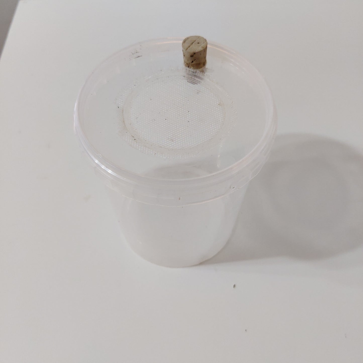 Aufzuchtdose 550 ml