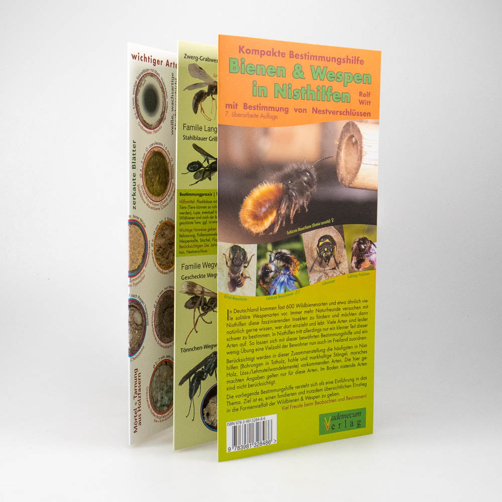 Wildbienen & Wespen Bestimmung