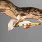 Hymenopus coronatus – Orchideenmantis